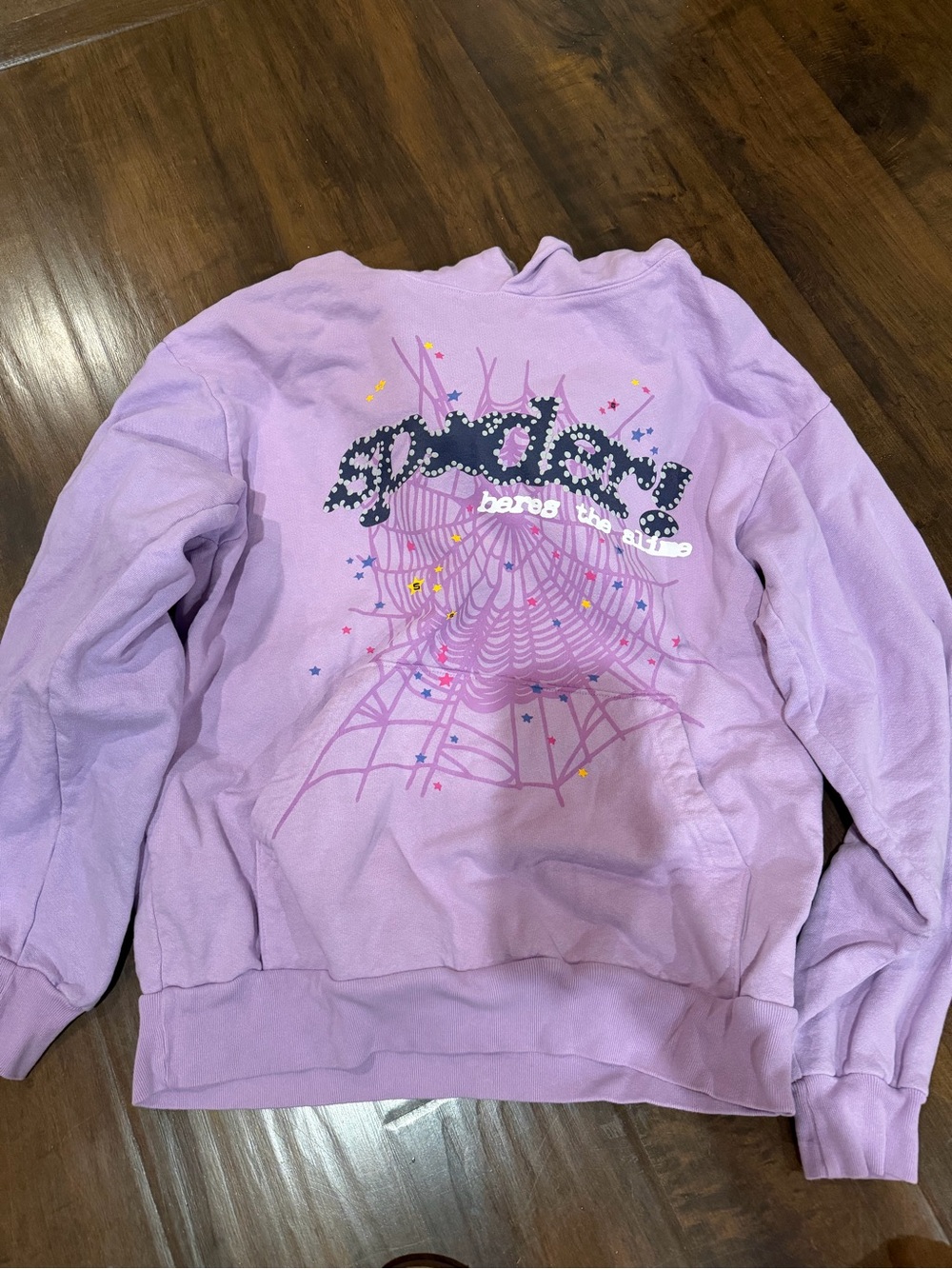 Purple Spider Graphic Sweatshirt